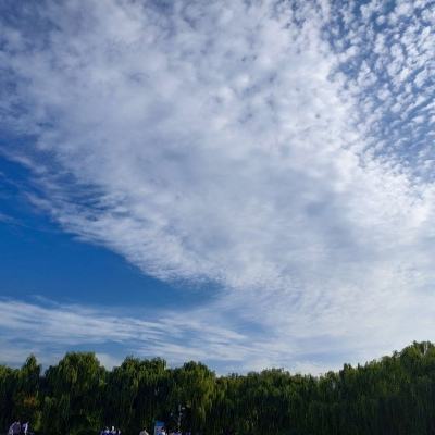 广州公布新增阳性新冠详情 荔湾区之外有海珠、番禺